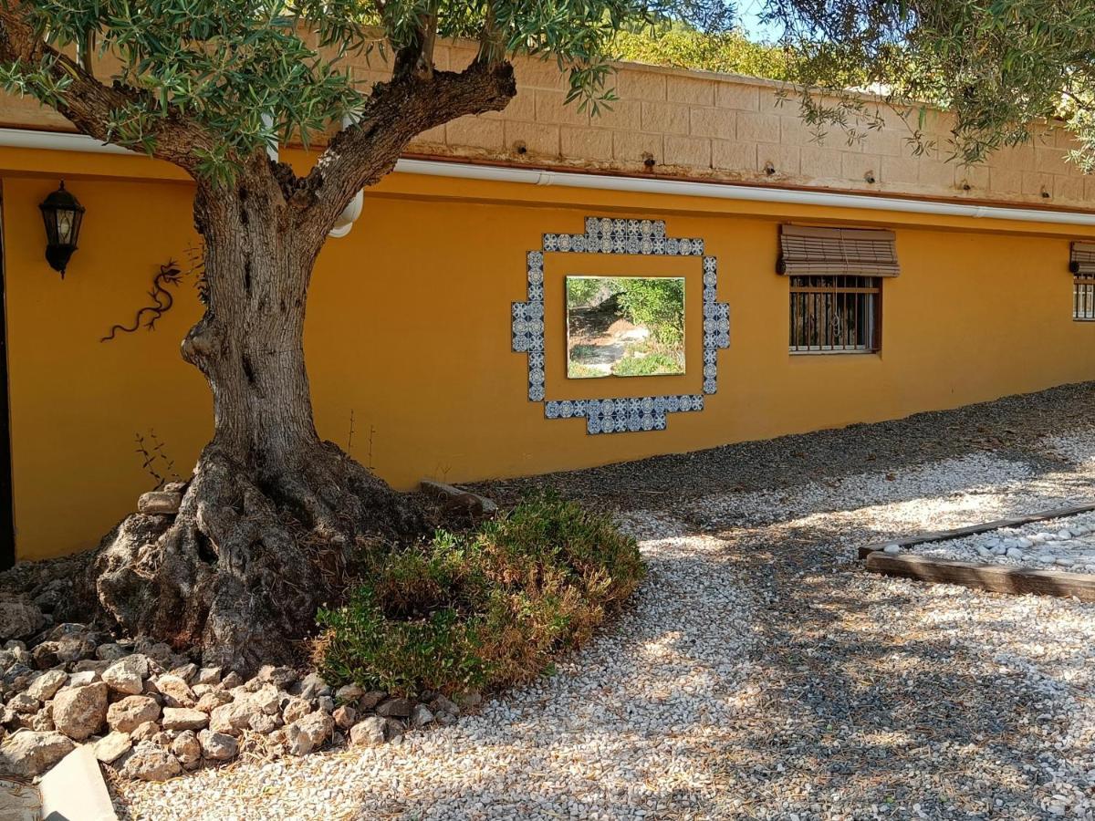 Casa Serenity アロラ エクステリア 写真