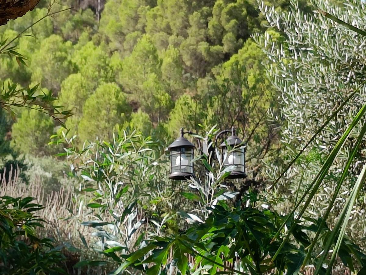 Casa Serenity アロラ エクステリア 写真