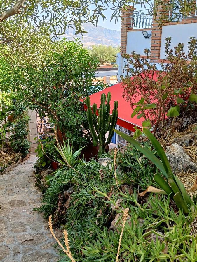Casa Serenity アロラ エクステリア 写真